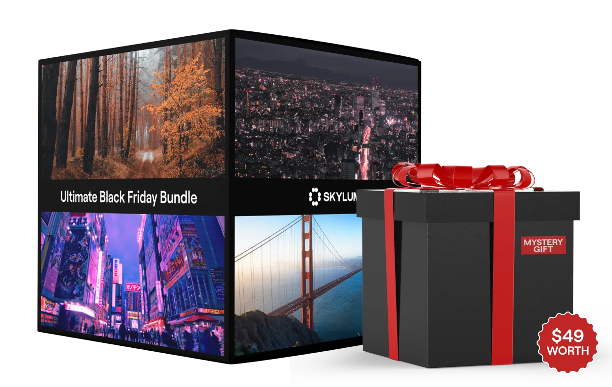 Shop Skylum Online: Black Friday Deals for Bloggers—Elevate Fashion Content with AI Magic